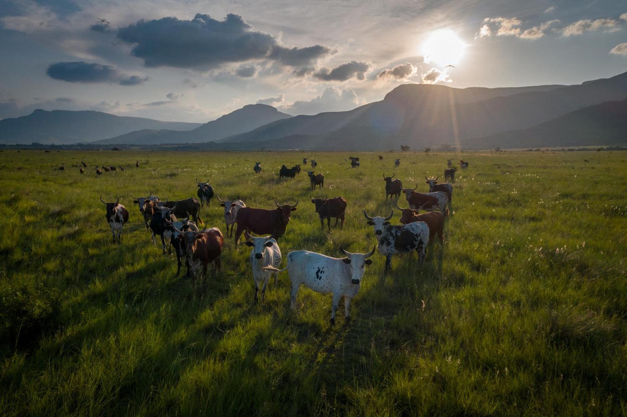 The Cowshed Βίλα Lydenburg Εξωτερικό φωτογραφία